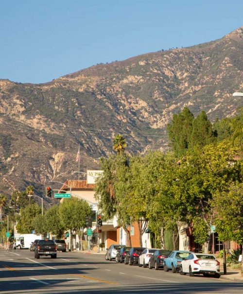 Altadena-area Altadena-area
